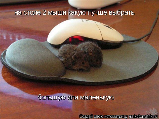 на столе 2 мыши какую лучше выбрать большую или маленькую.... Котоматрица: на столе 2 мыши какую лучше выбрать большую или маленькую.