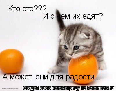 Кто это??? И с чем их едят? А может, они для радости...... Котоматрица: Кто это??? И с чем их едят? А может, они для радости...