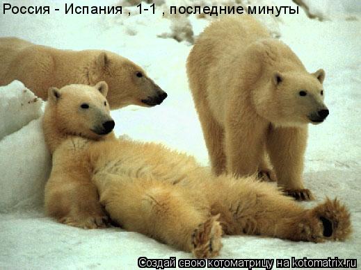 Россия - Испания , 1-1 , последние минуты... Котоматрица: Россия - Испания , 1-1 , последние минуты