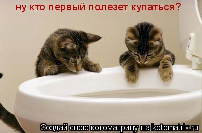 ну кто первый полезет купаться?... Котоматрица: ну кто первый полезет купаться?