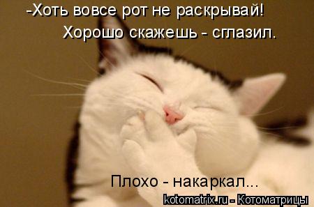 -Хоть вовсе рот не раскрывай! Хорошо скажешь - сглазил. Плохо - накаркал...... Котоматрица: -Хоть вовсе рот не раскрывай! Хорошо скажешь - сглазил. Плохо - накаркал...