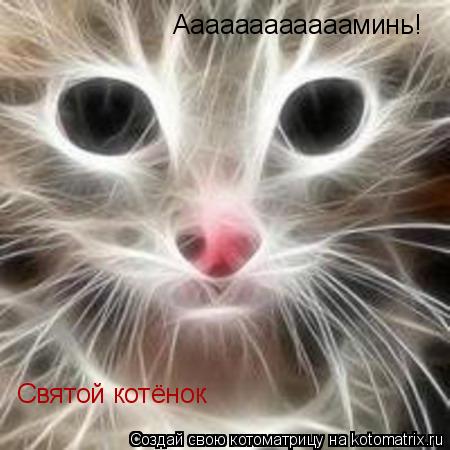 Святой котёнок Ааааааааааааминь!... Котоматрица: Святой котёнок Ааааааааааааминь!