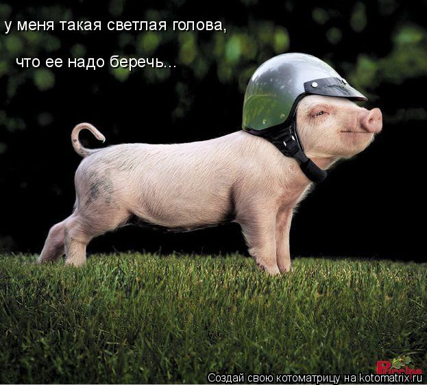 у меня такая светлая голова, что ее надо беречь...... Котоматрица: у меня такая светлая голова, что ее надо беречь...