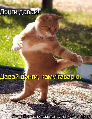 Дэнги давай! Давай дэнги, каму гаварю!... Котоматрица: Дэнги давай! Давай дэнги, каму гаварю!