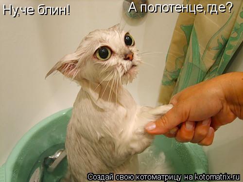 Ну,че блин! А полотенце,где?... Котоматрица: Ну,че блин! А полотенце,где?