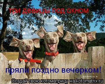 три девицы под окном пряли поздно вечерком!... Котоматрица: три девицы под окном пряли поздно вечерком!