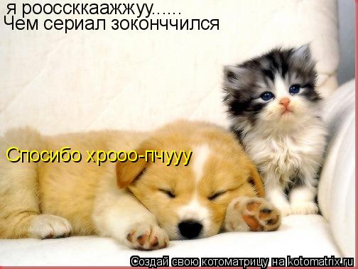 я рооссккаажжуу...... Чем сериал зоконччился Спосибо хрооо-пчууу... Котоматрица: я рооссккаажжуу...... Чем сериал зоконччился Спосибо хрооо-пчууу