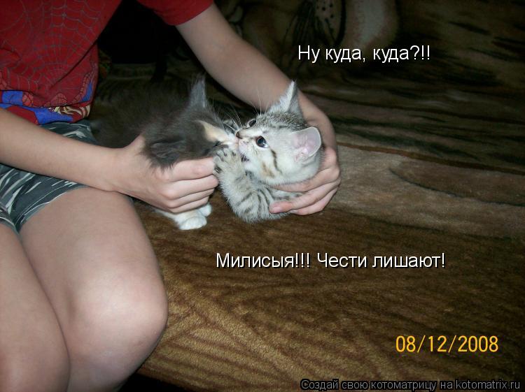 Ну куда, куда?!! Милисыя!!! Чести лишают!... Котоматрица: Ну куда, куда?!! Милисыя!!! Чести лишают!