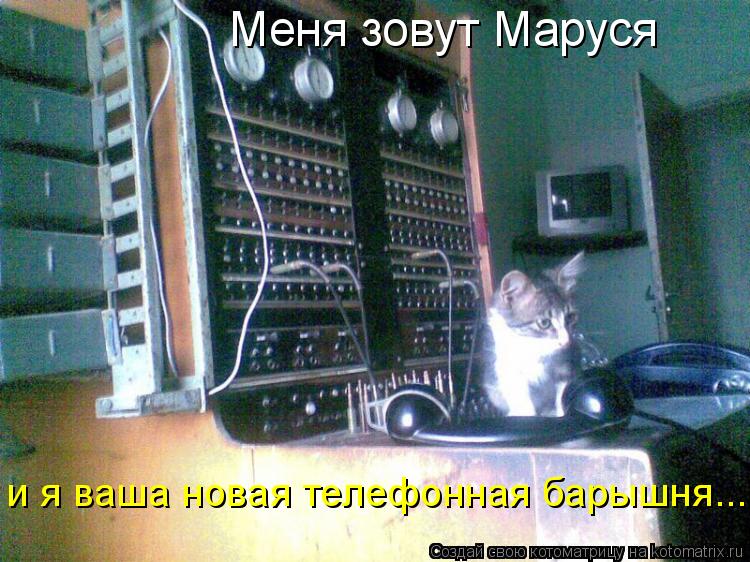Меня зовут Маруся и я ваша новая телефонная барышня...... Котоматрица: Меня зовут Маруся и я ваша новая телефонная барышня...