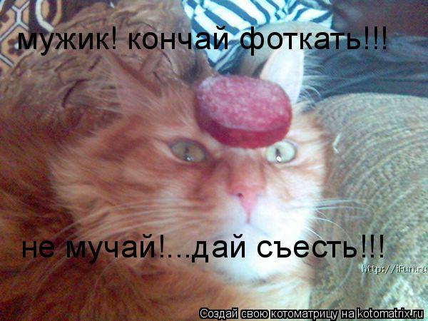 мужик! кончай фоткать!!! не мучай!...дай съесть!!!... Котоматрица: мужик! кончай фоткать!!! не мучай!...дай съесть!!!