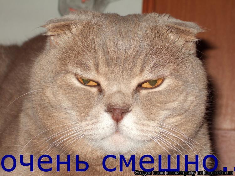 очень смешно...... Котоматрица: очень смешно...