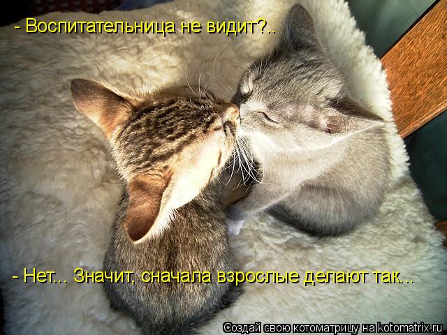 - Воспитательница не видит?.. - Нет... Значит, сначала взрослые делают так...... Котоматрица: - Воспитательница не видит?.. - Нет... Значит, сначала взрослые делают так...