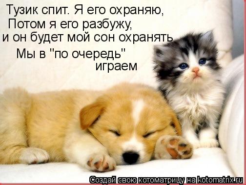 Тузик спит. Я его охраняю, Потом я его разбужу, и он будет мой сон охранять Мы в "по очередь" играе... Котоматрица: Тузик спит. Я его охраняю, Потом я его разбужу, и он будет мой сон охранять Мы в "по очередь" играем