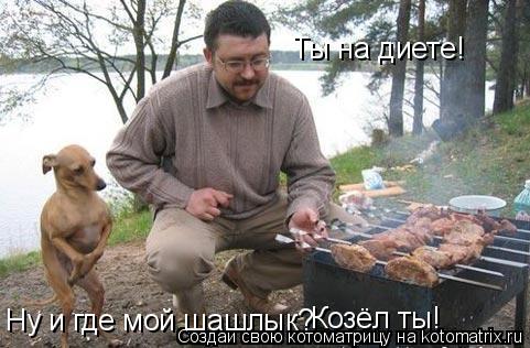 Ну и где мой шашлык? Ты на диете! Козёл ты!... Котоматрица: Ну и где мой шашлык? Ты на диете! Козёл ты!