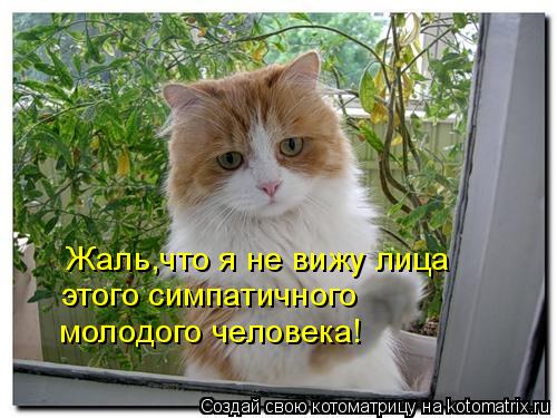 Жаль,что я не вижу лица этого симпатичного молодого человека!... Котоматрица: Жаль,что я не вижу лица этого симпатичного молодого человека!