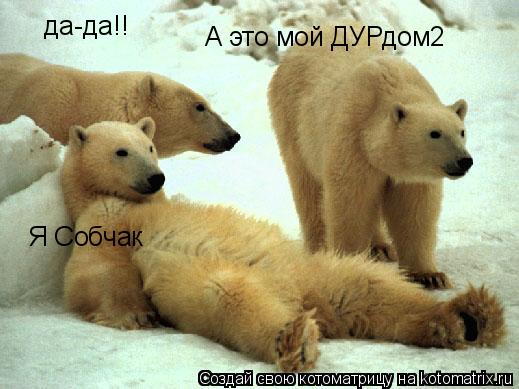 да-да!! Я Собчак А это мой ДУРдом2... Котоматрица: да-да!! Я Собчак А это мой ДУРдом2