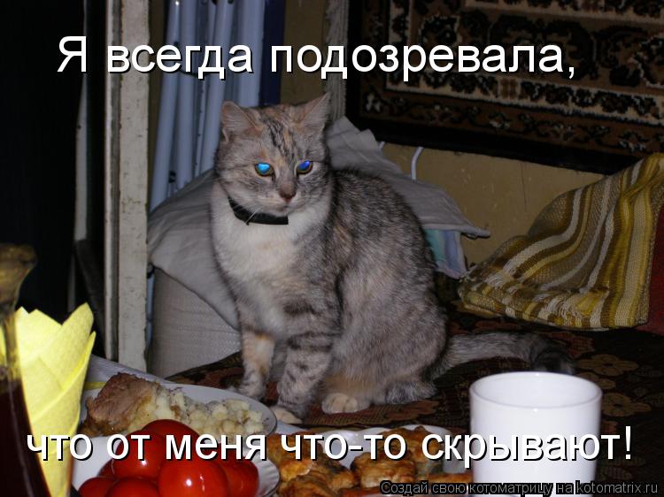 Я всегда подозревала, что от меня что-то скрывают!... Котоматрица: Я всегда подозревала, что от меня что-то скрывают!