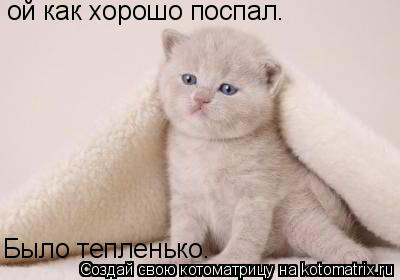 ой как хорошо поспал. Было тепленько.... Котоматрица: ой как хорошо поспал. Было тепленько.