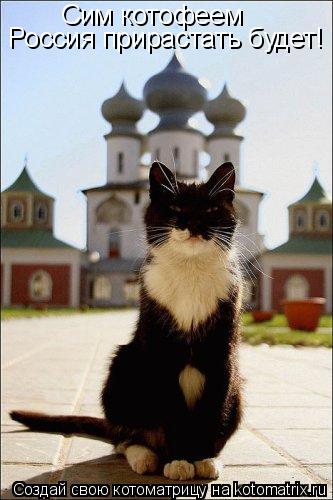 Сим котофеем Россия прирастать будет!... Котоматрица: Сим котофеем Россия прирастать будет!