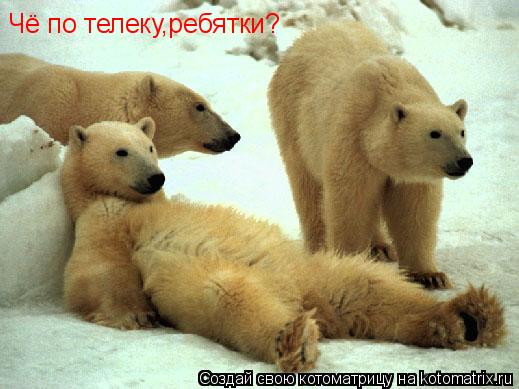 Чё по телеку,ребятки?... Котоматрица: Чё по телеку,ребятки?