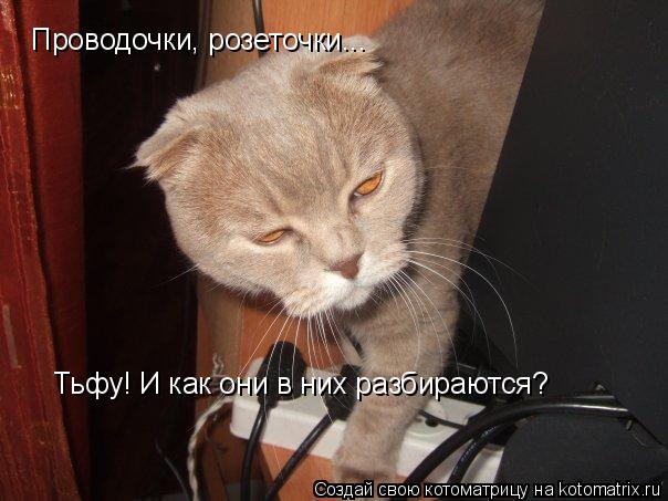 Проводочки, розеточки... Тьфу! И как они в них разбираются?... Котоматрица: Проводочки, розеточки... Тьфу! И как они в них разбираются?