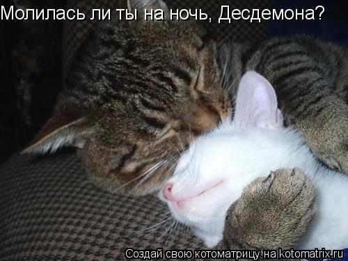 Молилась ли ты на ночь, Десдемона?... Котоматрица: Молилась ли ты на ночь, Десдемона?