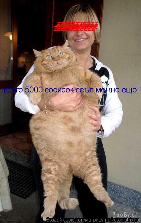 zzzzzzzzzzz zzzzzzzzzzz zzzzzzzzzzz zzzzzzzzzzz всего 5000 сосисок сеъл можно ещо 1... Котоматрица: zzzzzzzzzzz zzzzzzzzzzz zzzzzzzzzzz zzzzzzzzzzz всего 5000 сосисок сеъл можно ещо 1