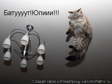 Батуууут!Юпиии!!!... Котоматрица: Батуууут!Юпиии!!!