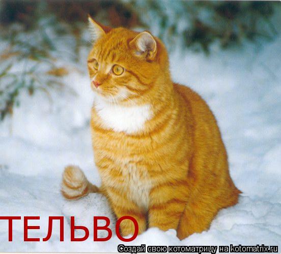 ТЕЛЬВО... Котоматрица: ТЕЛЬВО