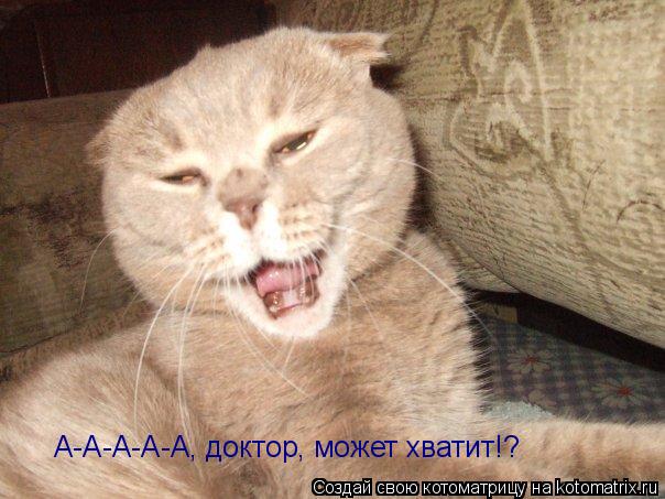А-А-А-А-А, доктор, может хватит!?... Котоматрица: А-А-А-А-А, доктор, может хватит!?