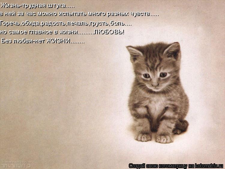 Жизнь-трудная штука..... в ней за час можно испытать много разных чувств..... Горечь,обида,радость,пе... Котоматрица: Жизнь-трудная штука..... в ней за час можно испытать много разных чувств..... Горечь,обида,радость,печаль,грусть,боль.... но самое главное в жизн