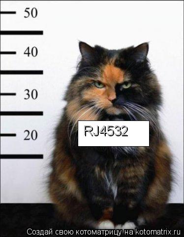 RJ4532... Котоматрица: RJ4532