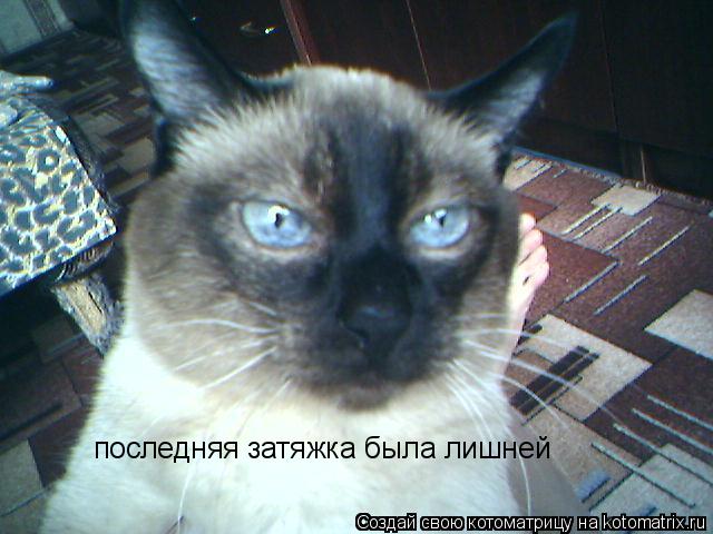 последняя затяжка была лишней... Котоматрица: последняя затяжка была лишней