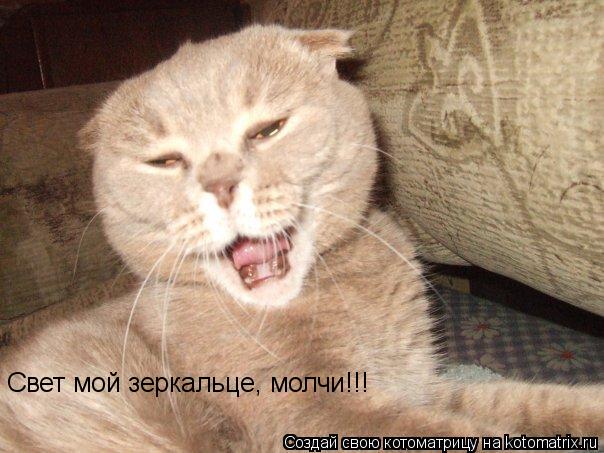 Свет мой зеркальце, молчи!!!... Котоматрица: Свет мой зеркальце, молчи!!!