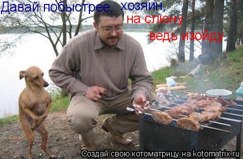 Давай побыстрее, хозяин, на слюну ведь изойду... ведь изойду Давай побыстрее, хозяин, на слюну... Котоматрица: Давай побыстрее, хозяин, на слюну ведь изойду... ведь изойду Давай побыстрее, хозяин, на слюну