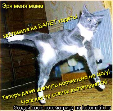 Эря меня мама Теперь даже шагнуть нормально не могу! Нога как на станок вытягивается! заставила на БА... Котоматрица: Эря меня мама Теперь даже шагнуть нормально не могу! Нога как на станок вытягивается! заставила на БАЛЕТ ходить!