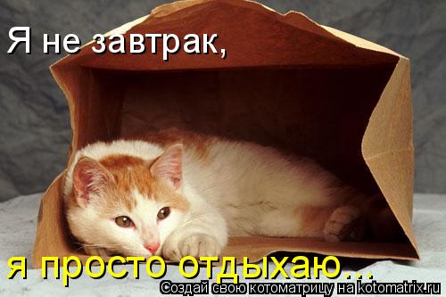Я не завтрак, я просто отдыхаю...... Котоматрица: Я не завтрак, я просто отдыхаю...
