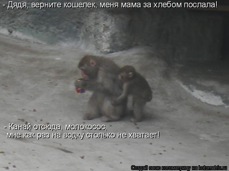 - Дядя, верните кошелек, меня мама за хлебом послала! - Канай отсюда, молокосос, мне как раз на водку... Котоматрица: - Дядя, верните кошелек, меня мама за хлебом послала! - Канай отсюда, молокосос, мне как раз на водку столько не хватает!