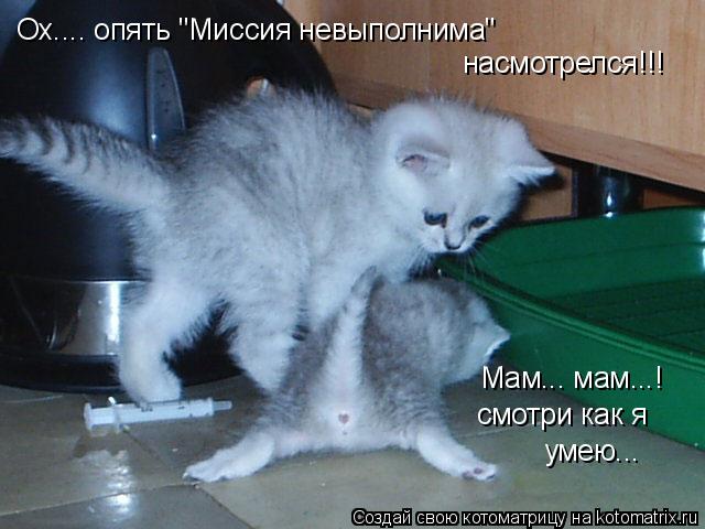 Мам... мам...! смотри как я умею... Ох.... опять "Миссия невыполнима" насмотрелся!!!... Котоматрица: Мам... мам...! смотри как я умею... Ох.... опять "Миссия невыполнима" насмотрелся!!!