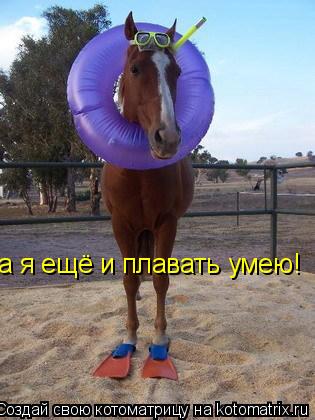 а я ещё и плавать умею!... Котоматрица: а я ещё и плавать умею!