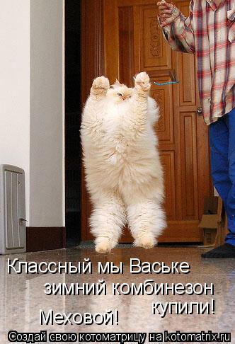 Классный мы Ваське зимний комбинезон купили! Меховой!... Котоматрица: Классный мы Ваське зимний комбинезон купили! Меховой!
