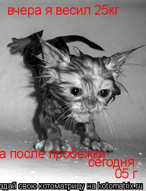 вчера я весил 25кг а после пробежки сегодня 05 г... Котоматрица: вчера я весил 25кг а после пробежки сегодня 05 г