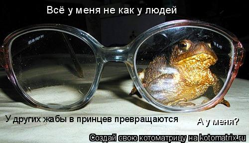 Всё у меня не как у людей У других жабы в принцев превращаются А у меня?... Котоматрица: Всё у меня не как у людей У других жабы в принцев превращаются А у меня?