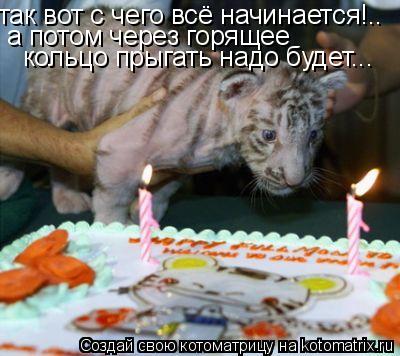 так вот с чего всё начинается!.. а потом через горящее кольцо прыгать надо будет...... Котоматрица: так вот с чего всё начинается!.. а потом через горящее кольцо прыгать надо будет...