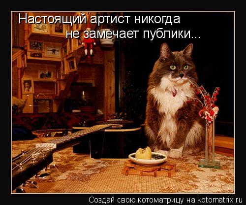 Настоящий артист никогда не замечает публики...... Котоматрица: Настоящий артист никогда не замечает публики...