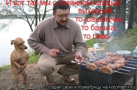 И вот так мы с хозяином каждый выходной: то шашлычки, то банька, то пиво...... Котоматрица: И вот так мы с хозяином каждый выходной: то шашлычки, то банька, то пиво...