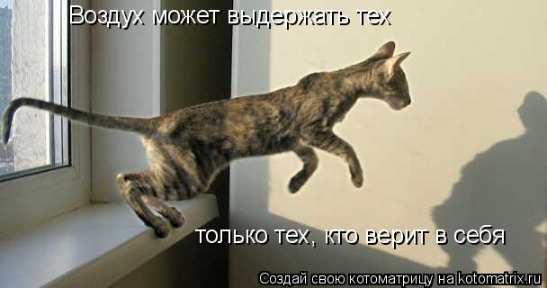 Воздух может выдержать тех только тех, кто верит в себя... Котоматрица: Воздух может выдержать тех только тех, кто верит в себя