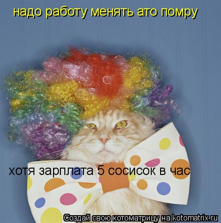 надо работу менять ато помру хотя зарплата 5 сосисок в час... Котоматрица: надо работу менять ато помру хотя зарплата 5 сосисок в час