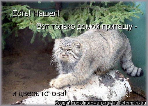 Есть! Нашел! Вот только домой притащу - и дверь готова!... Котоматрица: Есть! Нашел! Вот только домой притащу - и дверь готова!