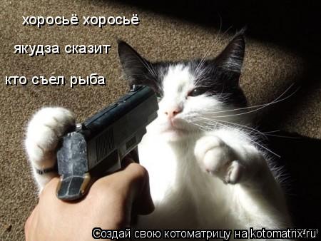 хоросьё хоросьё якудза сказит кто съел рыба... Котоматрица: хоросьё хоросьё якудза сказит кто съел рыба